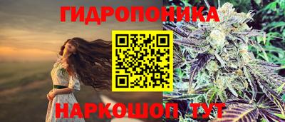 таблы Будённовск